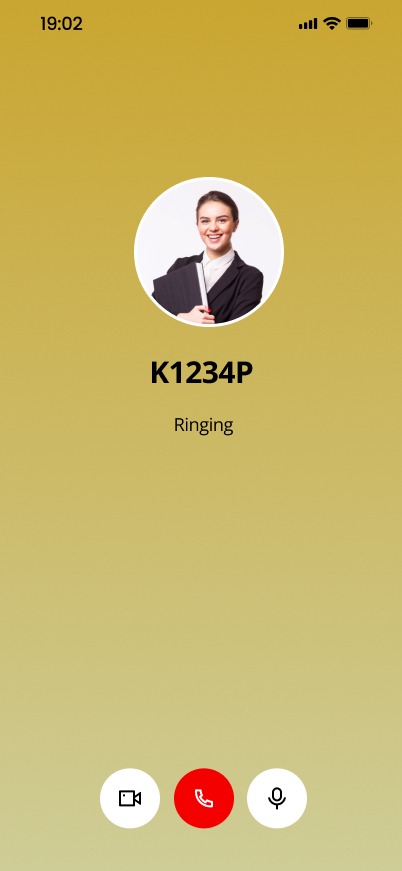 Voice and Video Calls